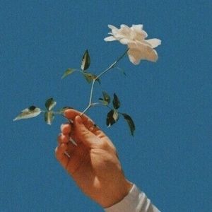 Meet your Posher, Chelsea